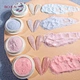 Cheese Sea Salt Holographic Glitter Powder